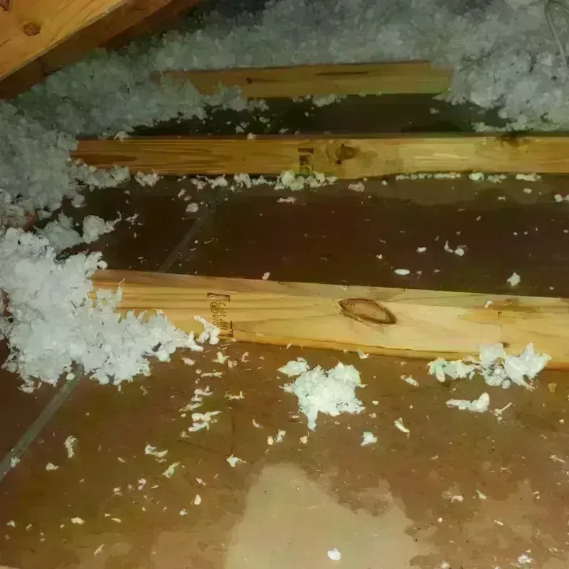 Attic Water Damage in Woodland, WA