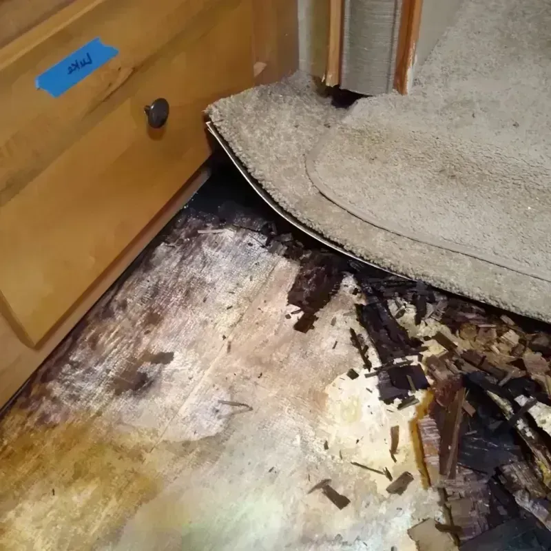 Wood Floor Water Damage in Woodland, WA